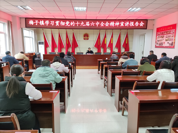 马先友到梅子镇宣讲党的十九届六中全会精神
