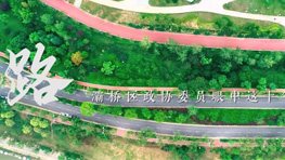 19号 路——灞桥区政协委员眼中这十年