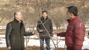 3号 省政协常委陈高志：认真履职守初心 心怀大爱有担当