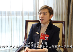 提案进行时｜王薇委员：小柿子，大产业！