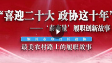 《最美农村路上的履职故事》