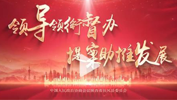 领导领衔督办，提案助推发展