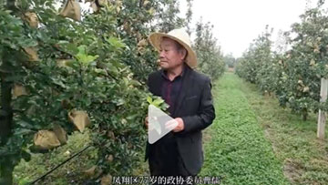 《三代苹果梦 政协父子情》