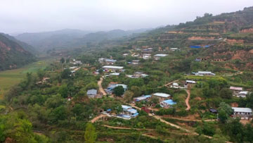 瓦石头的政协之光