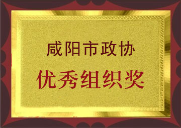 优秀组织奖