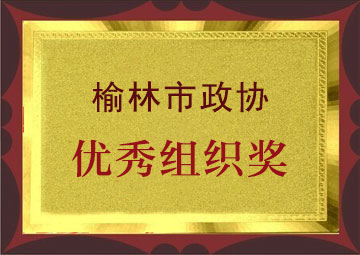 优秀组织奖