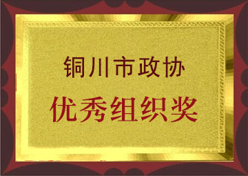 优秀组织奖