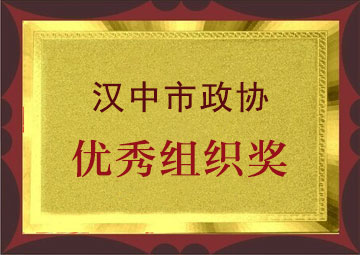 优秀组织奖