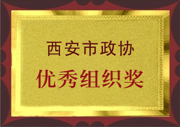 优秀组织奖