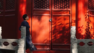 西安市政协 《书法艺术链接着西安的历史与当下》