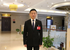 陈盼盼委员：盘活存量土地资源 更好激发市场活力