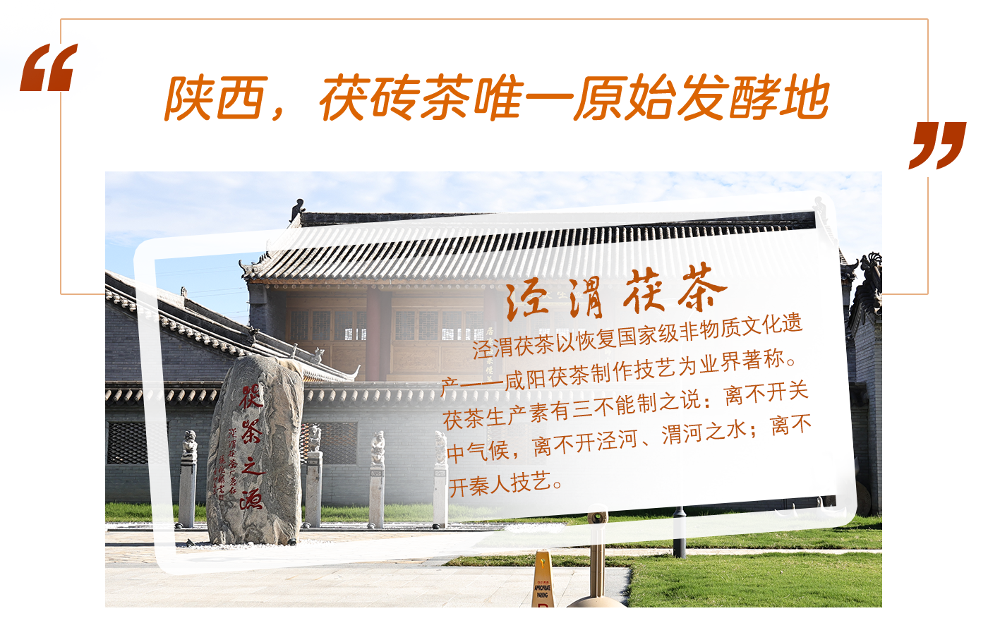 陕西，茯砖茶唯一原始发酵地