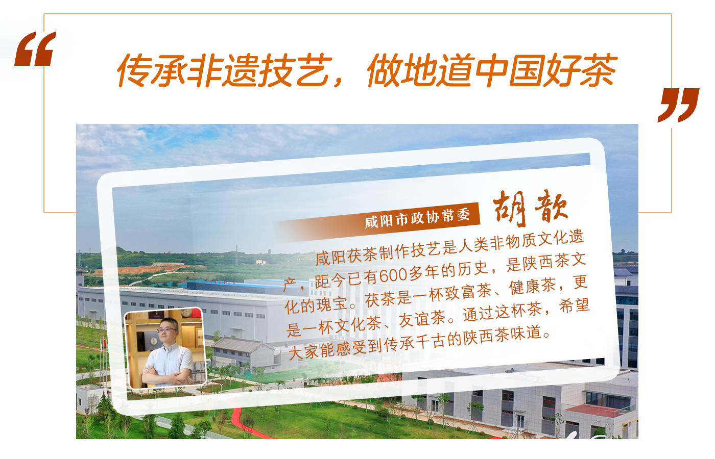 咸阳市政协常委胡歆：传承非遗技艺，做地道中国好茶