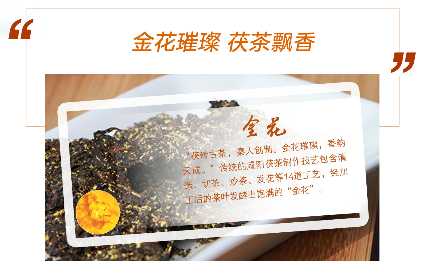 金花璀璨 茯茶飘香